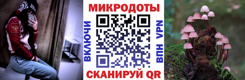 Галлюциногенные грибы ЛСД  Волхов 